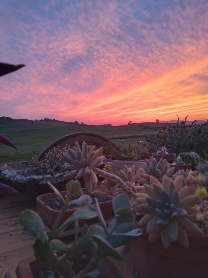 Agriturismo Enjoy Sunset Cinigiano Bagian luar foto