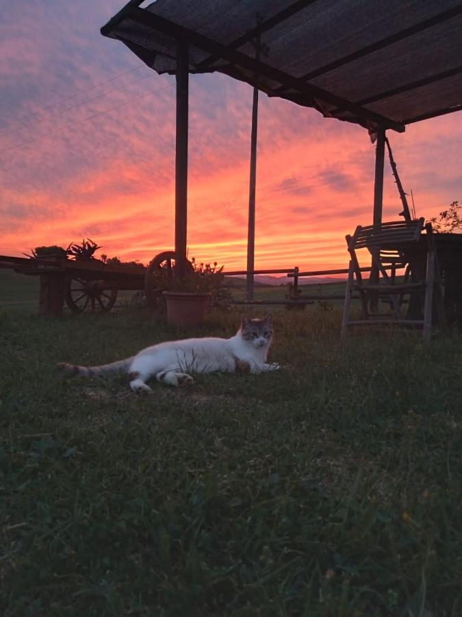 Agriturismo Enjoy Sunset Cinigiano Bagian luar foto